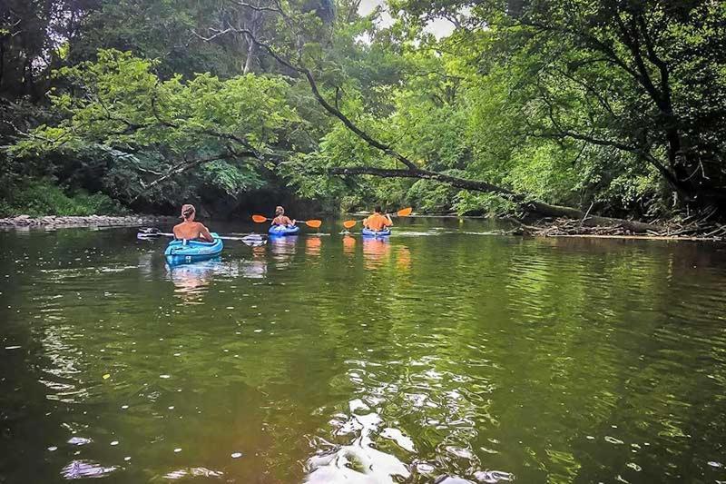 River Waltz ピジョンフォージ エクステリア 写真